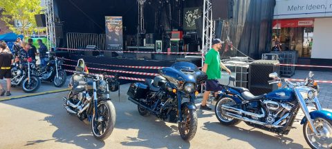 Das Offizielle Chuck Norris Double wird fürs Heerener Sommerfest gebucht.
