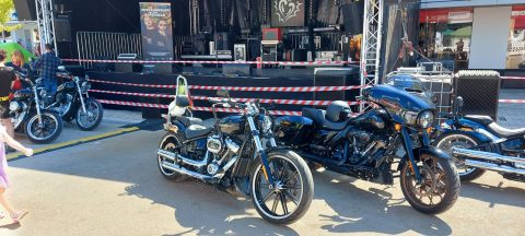 Das Offizielle Chuck Norris Double wird fürs Heerener Sommerfest gebucht.