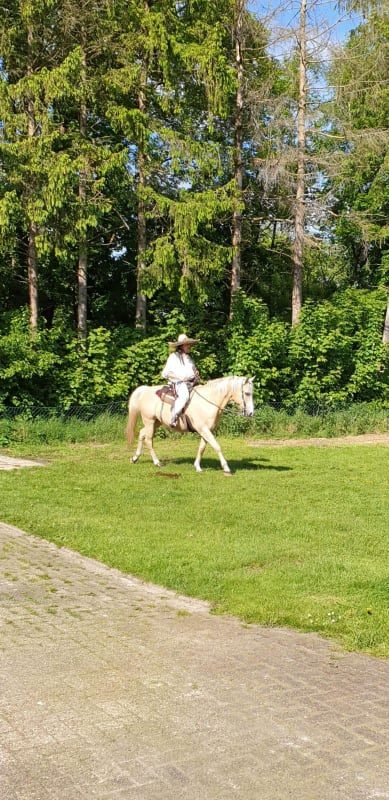 Das Offizielle Chuck Norris Double wird Ehrengast mit Hollywood Star Mark Ryan in der Westernstadt Basswood Grove